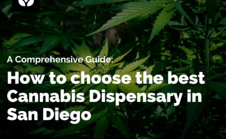how to choose the best cannabis dispensary in san diego