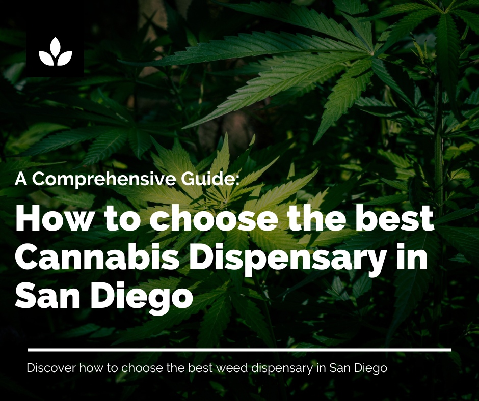 how to choose the best cannabis dispensary in san diego