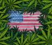 U.S. cannabis markets