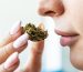 6 Most Popular Cannabis strains 2023